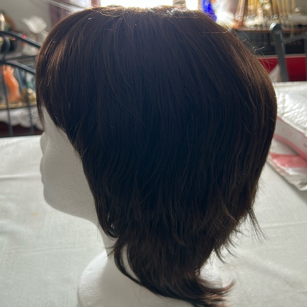 Nwot short Dark Aburn wig